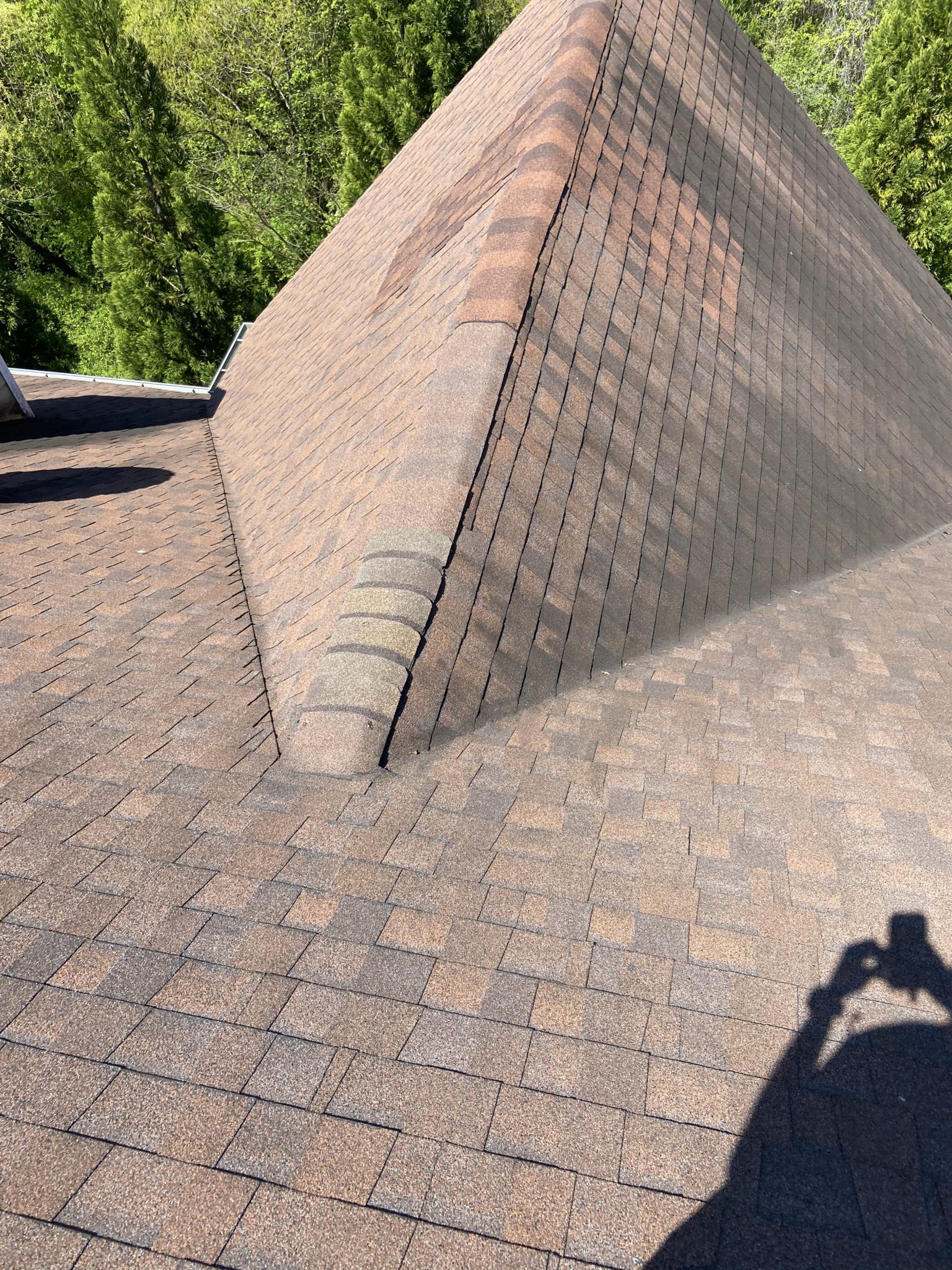 Roof repair Replacing wind blown shingles Litespeed Construction