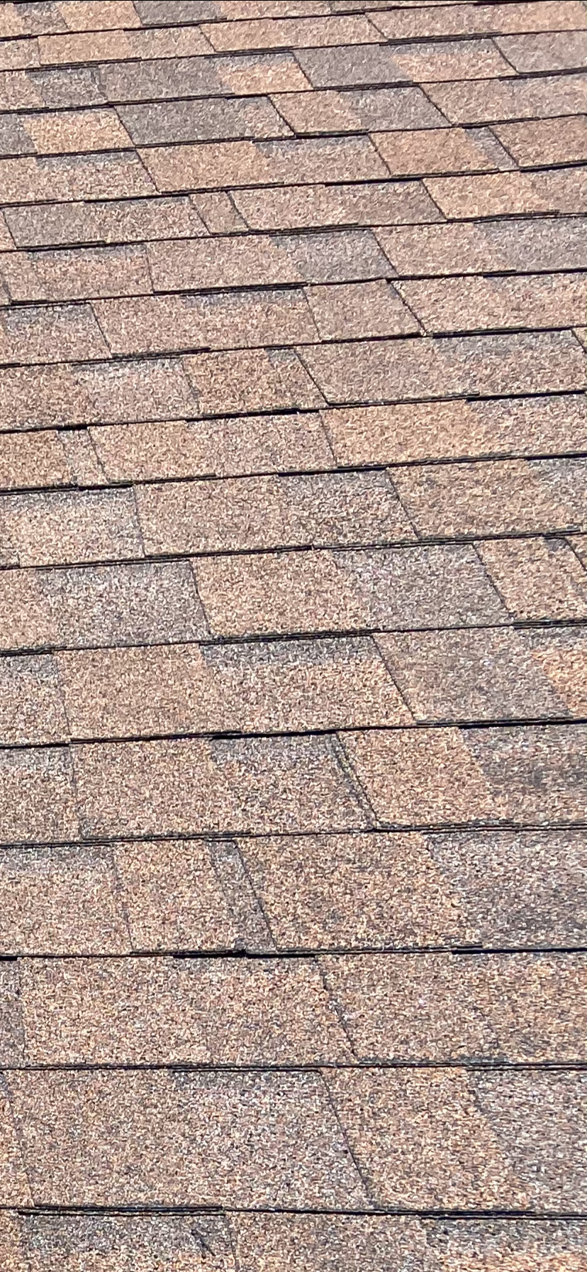 This is a close up view of shingles that have blistered.