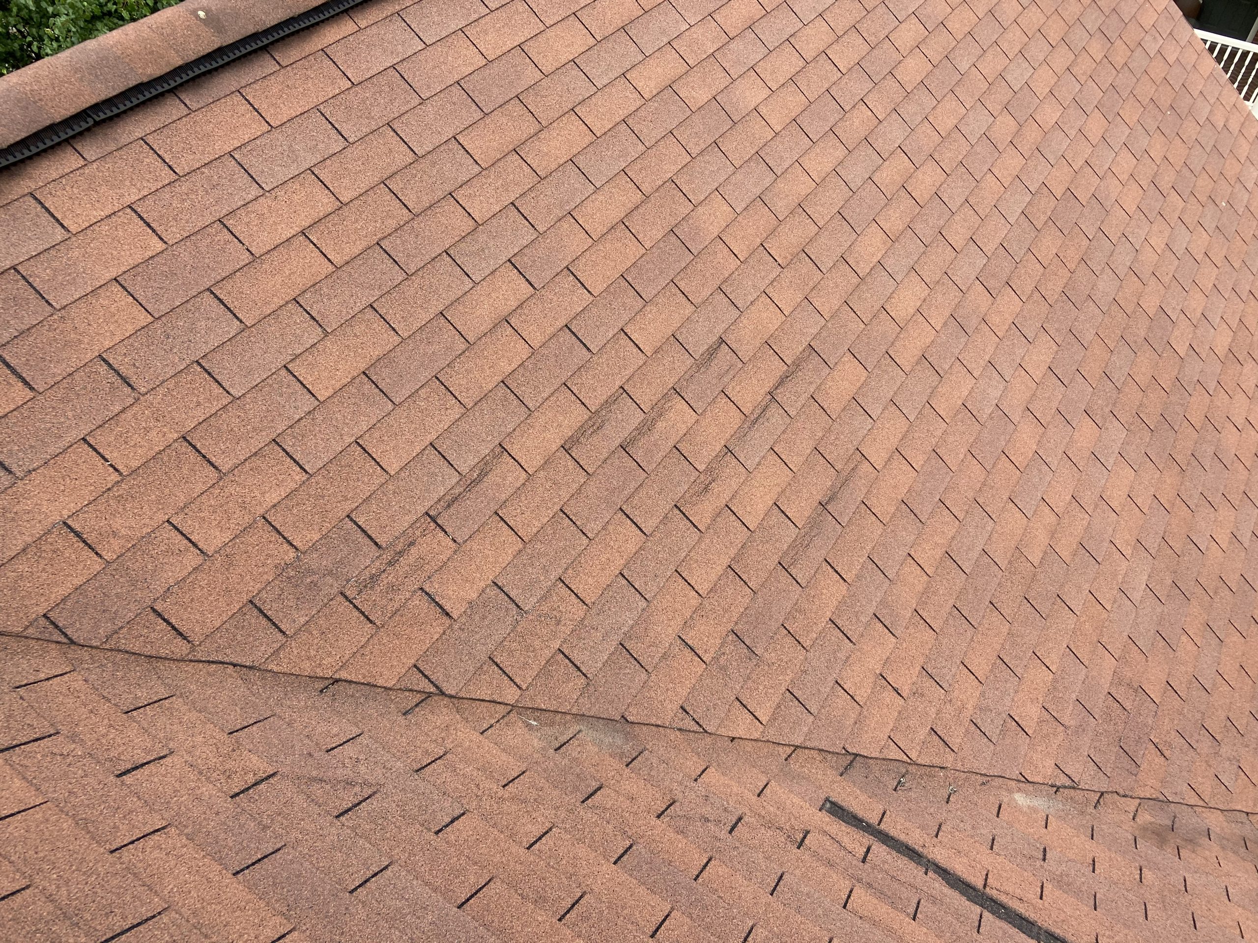 This is an image of the roof near the ridge showing creased shingles. 