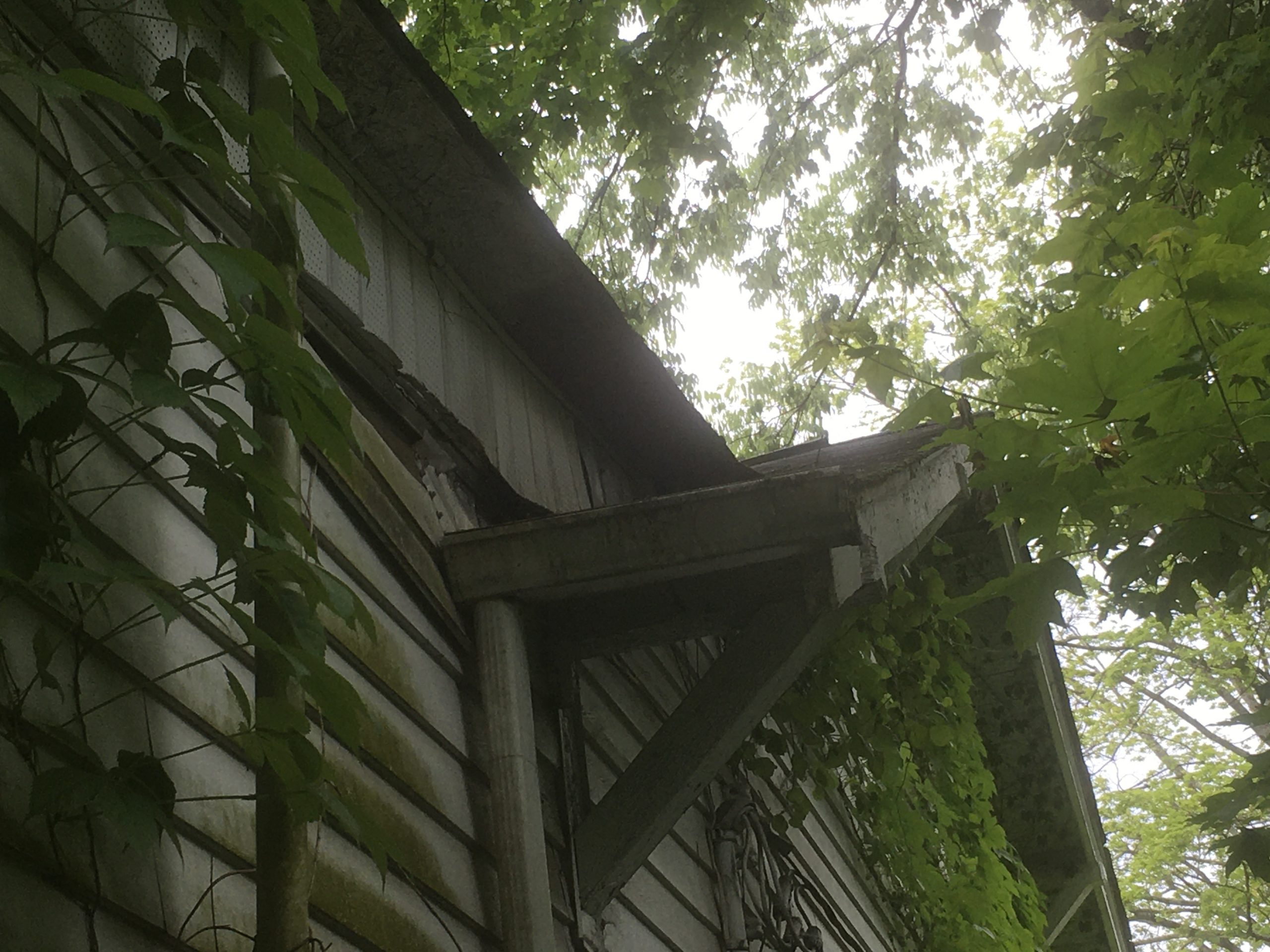 This is a picture from the ground for a view of the soffit. 