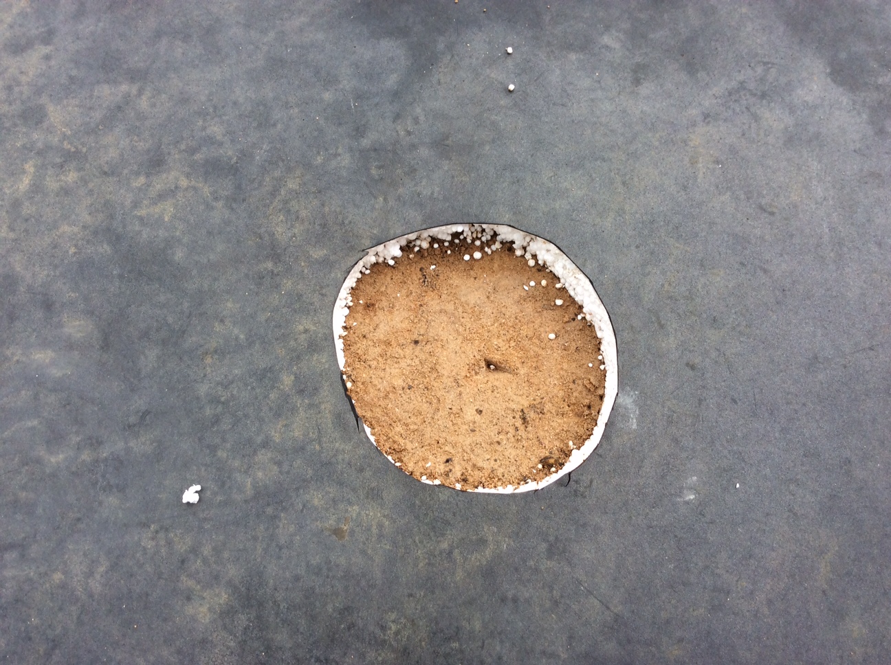 This is a circular hole cut out of rubber roofing showing the decking is intact but damp.