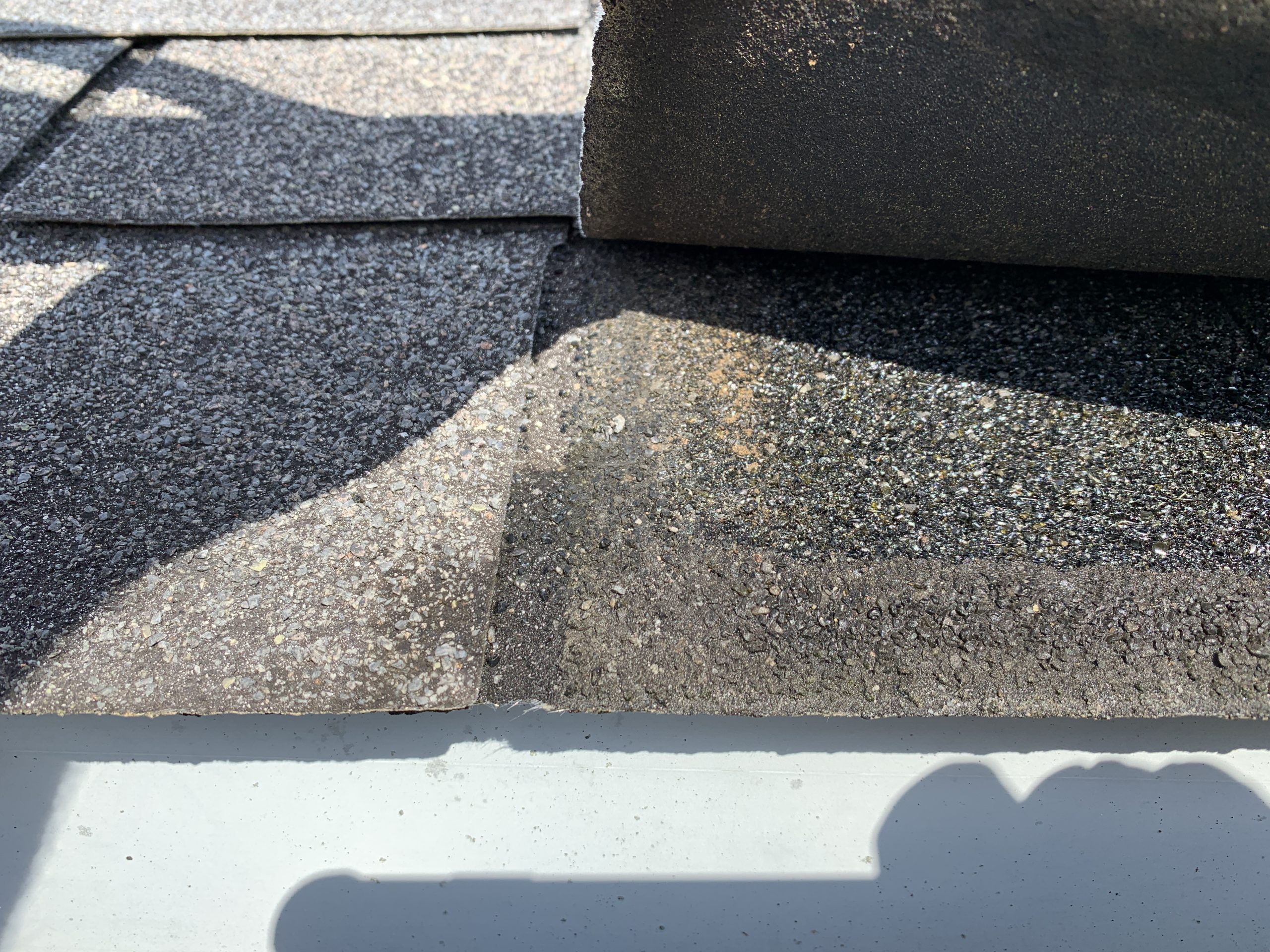 This is a view of a shingle lifted up from the roof. 