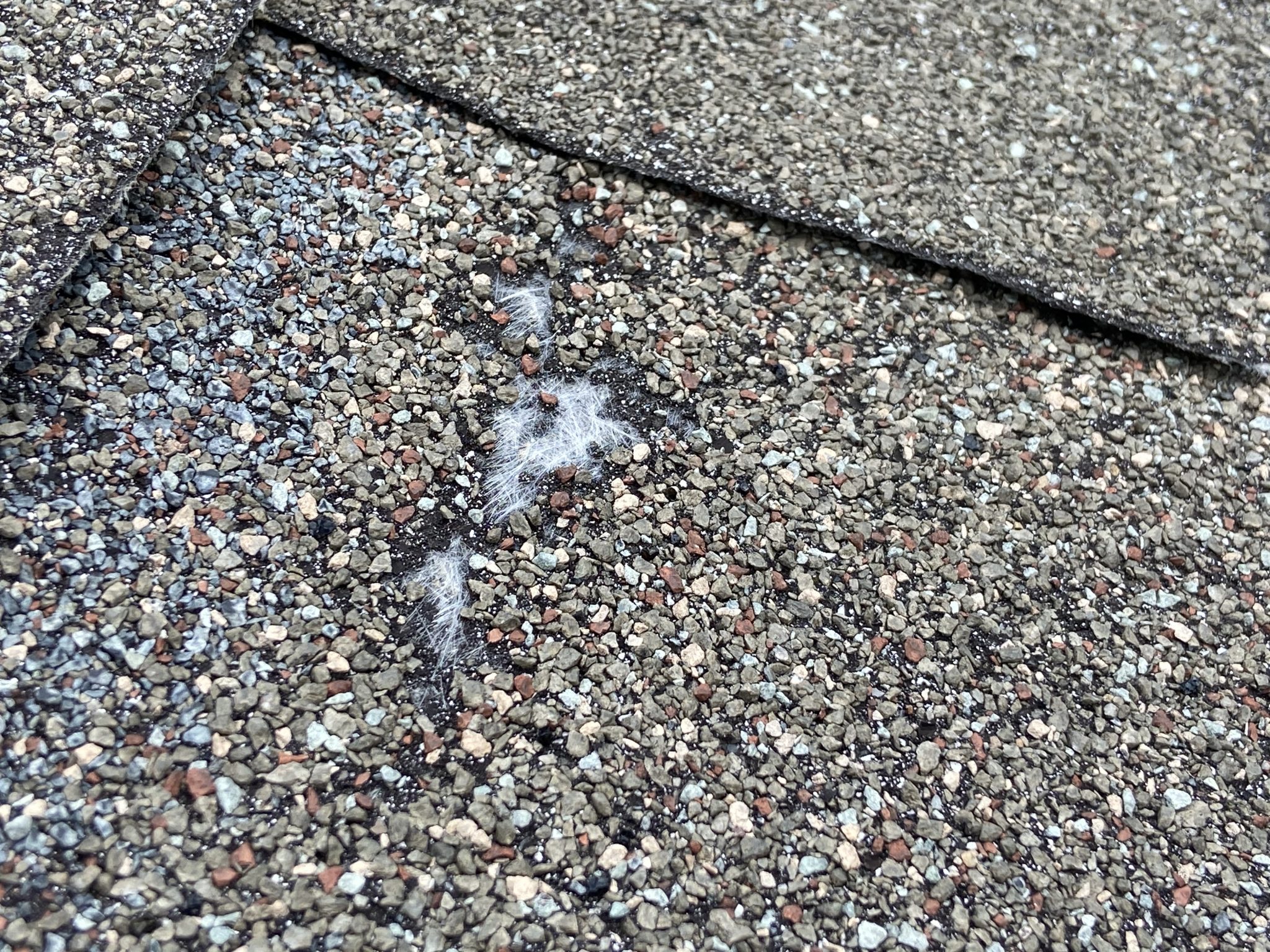 Inspection Shows Rotten Nails back of Roof, Exposed Fiberglass Mat