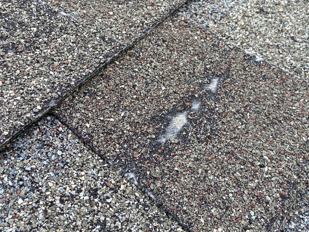 This is a view of a shingle with exposed fiberglass mat.