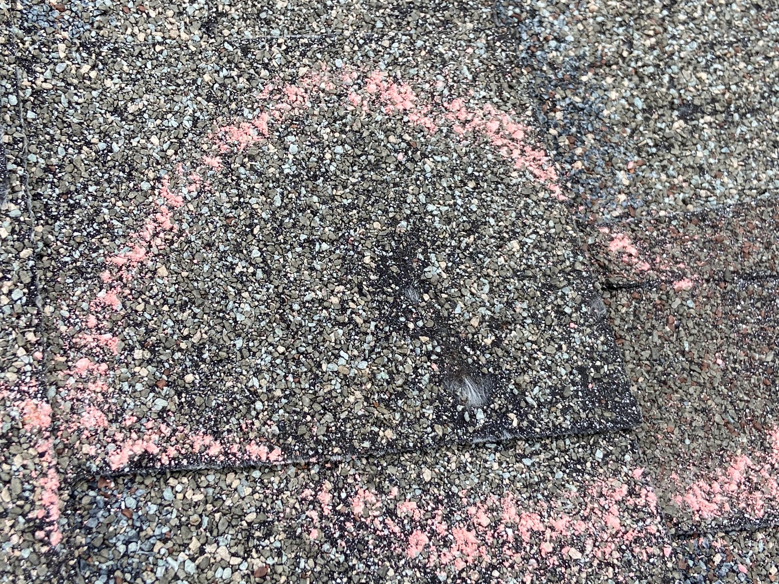This is a picture of a shingled that has exposed fiberglass mat with a chalk outline around it. 
