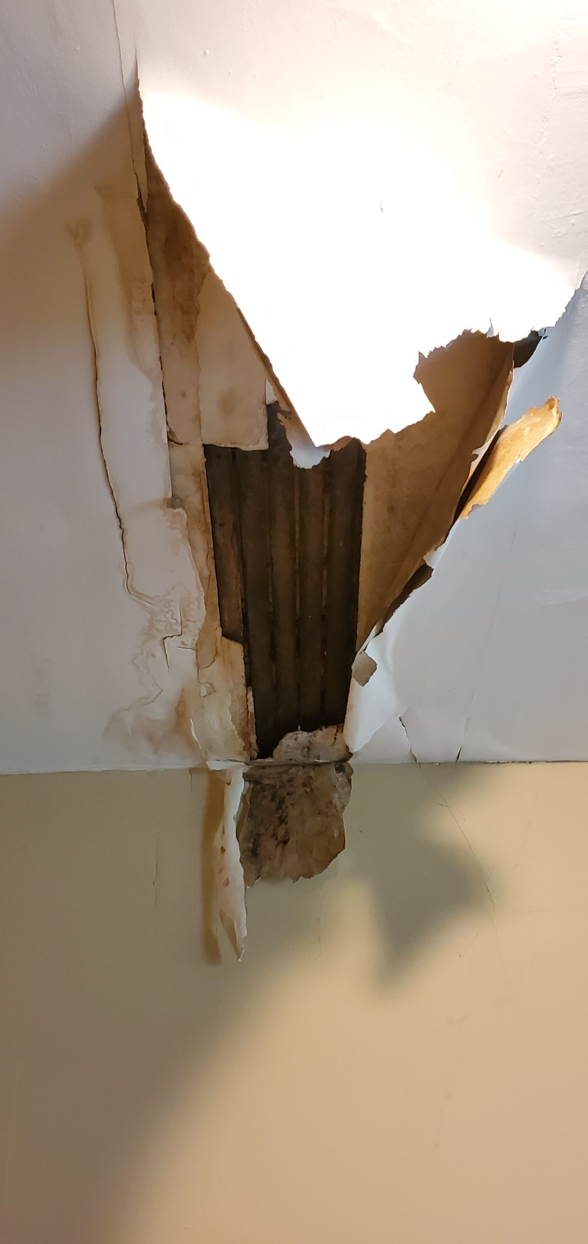 here is a roof leak that has caused drywall to fail and fall