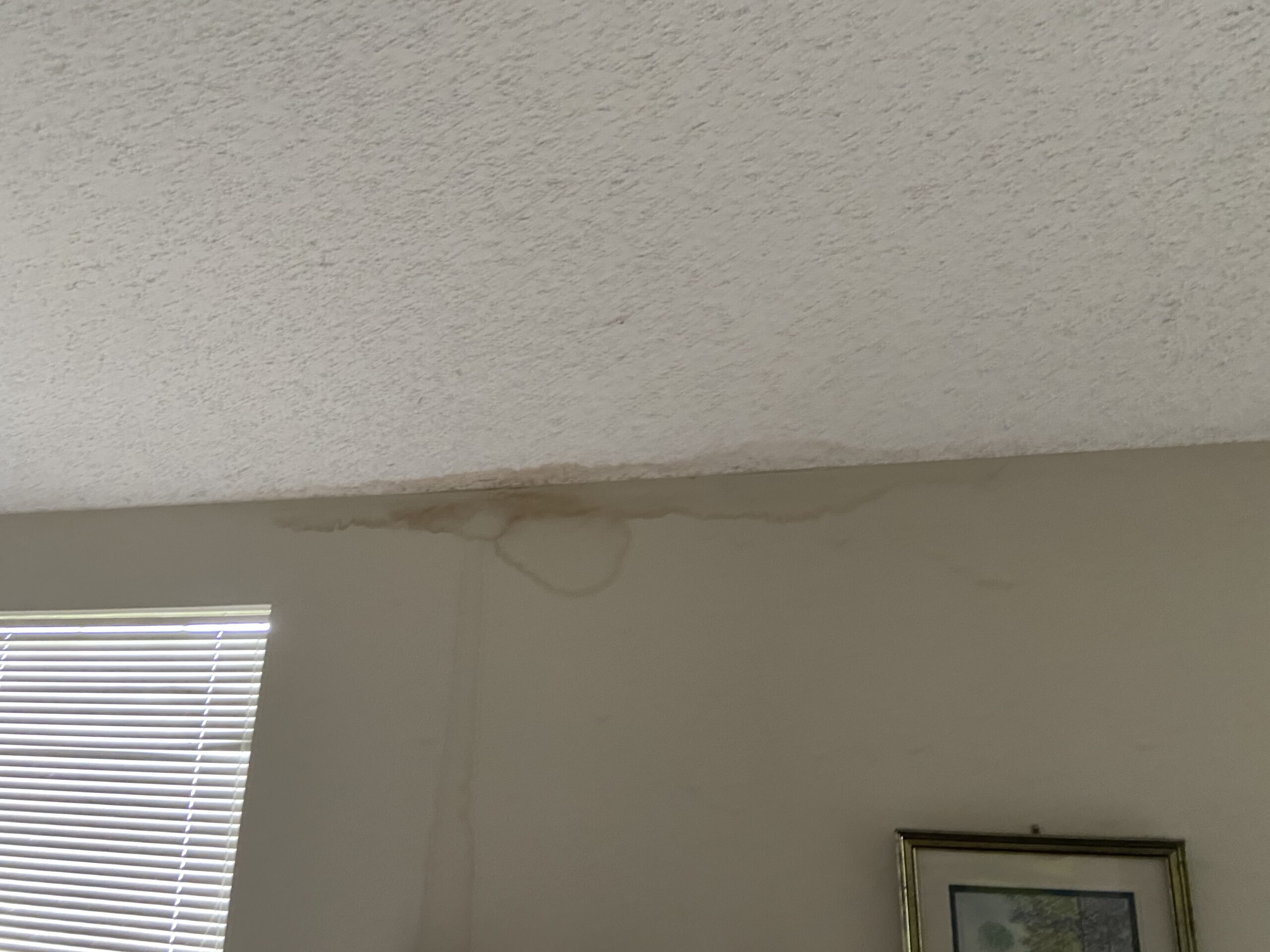 here is another roof leak that is causing ceiling stains