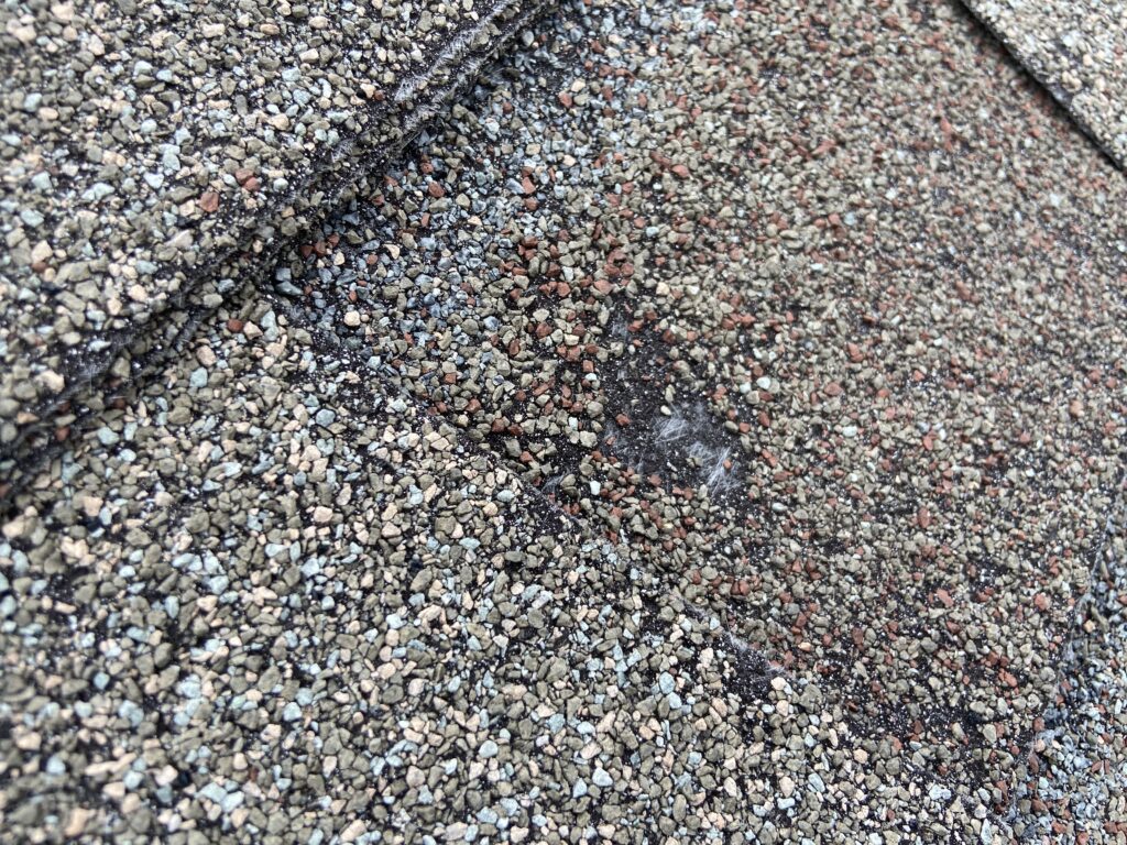 this is a close up picture of a shingle that has exposed fiberglass because of blistering