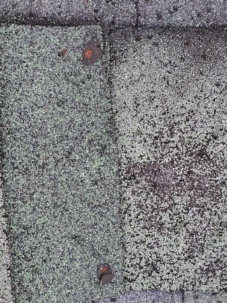 This is a picture of a nail popping out of the shingles. 