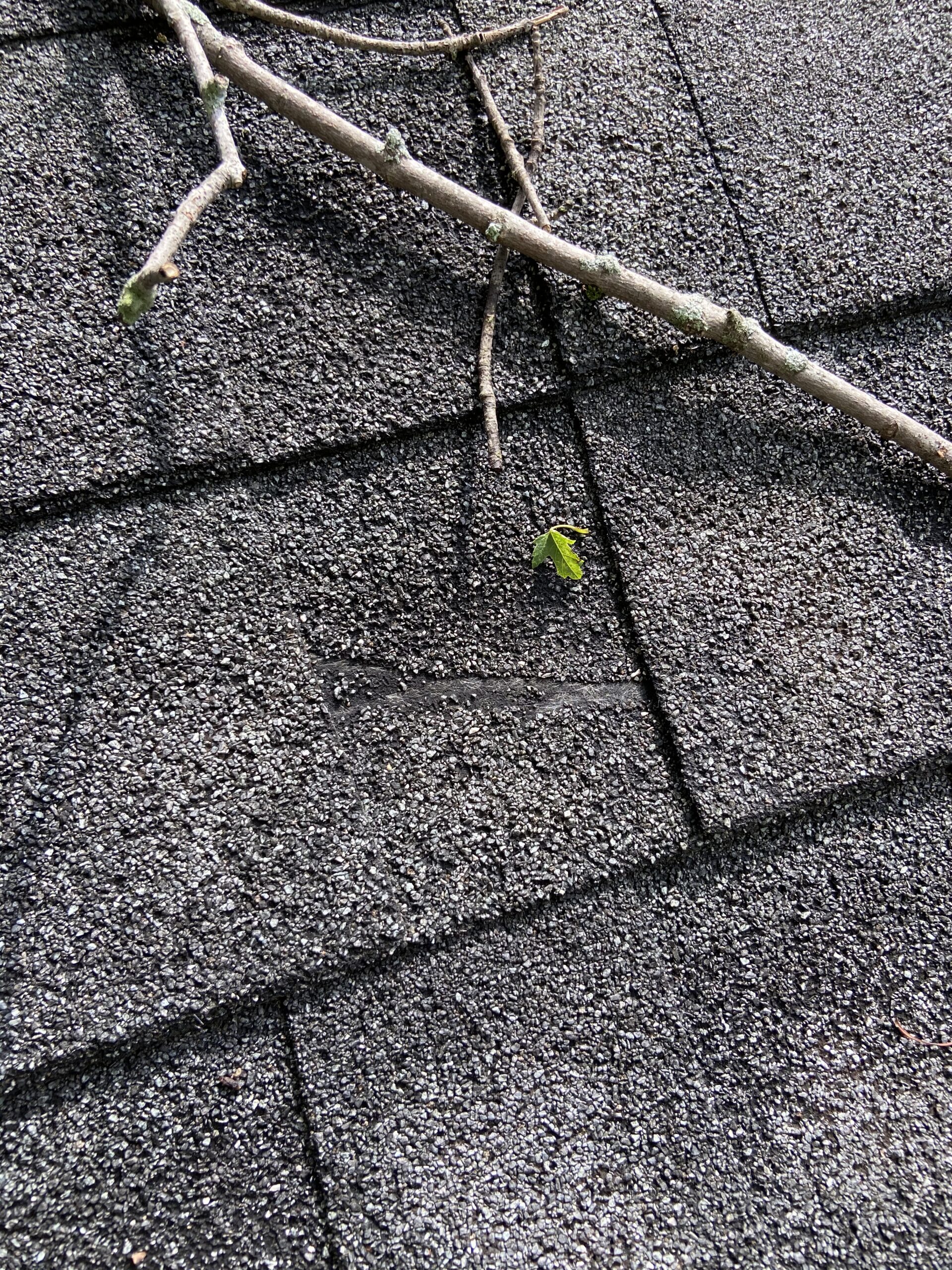 picture of a shingle on a roof that has fiberglass matt showing