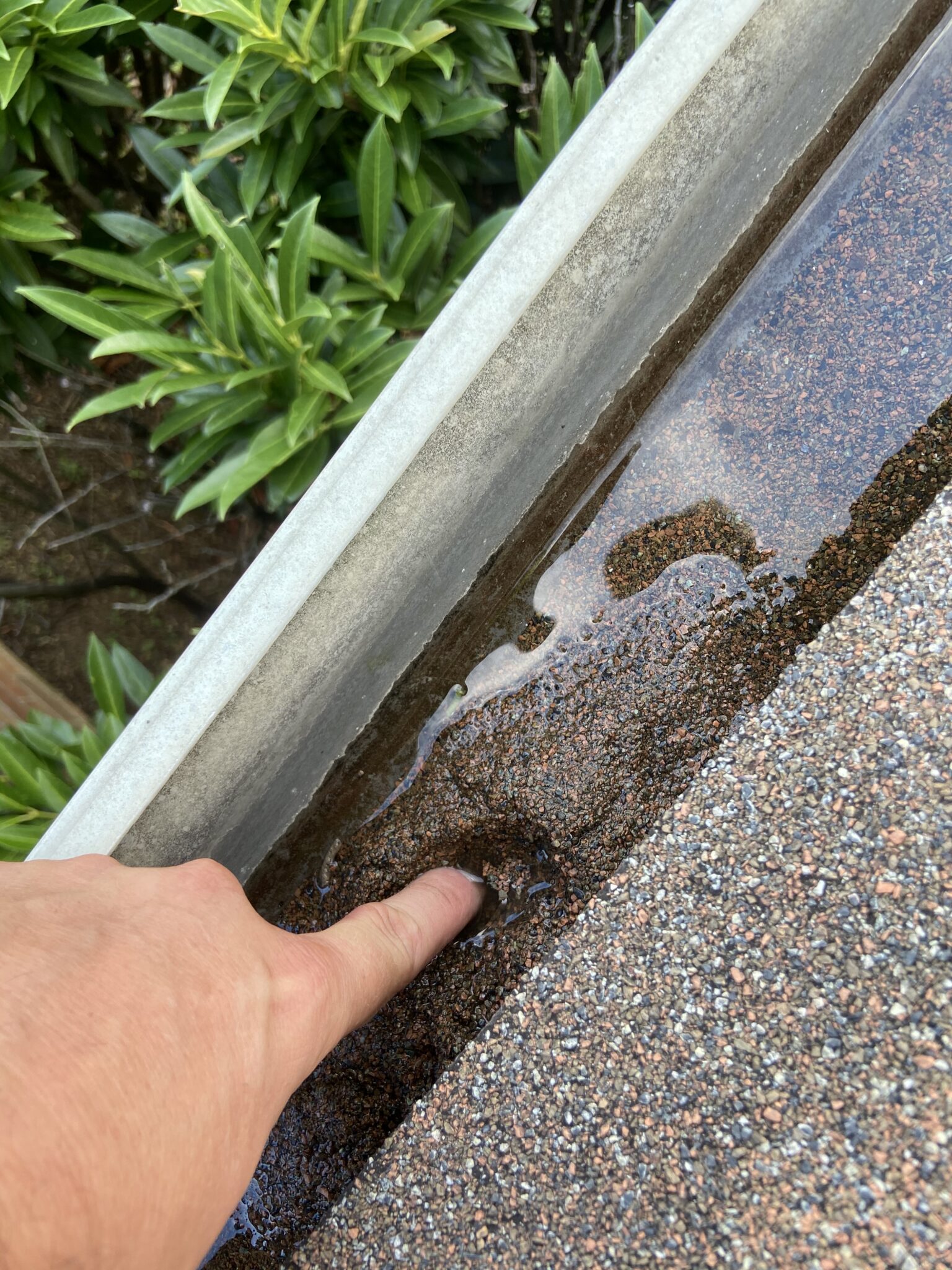 Gutters are holding water pretty bad Litespeed Construction Knoxville