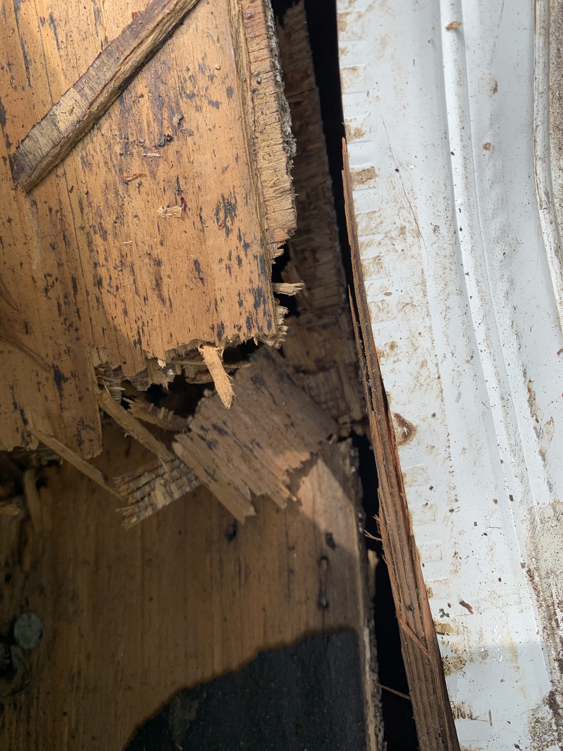 Broken and busted plywood or OSB sheathing can easily go undetected under shingles after an impact