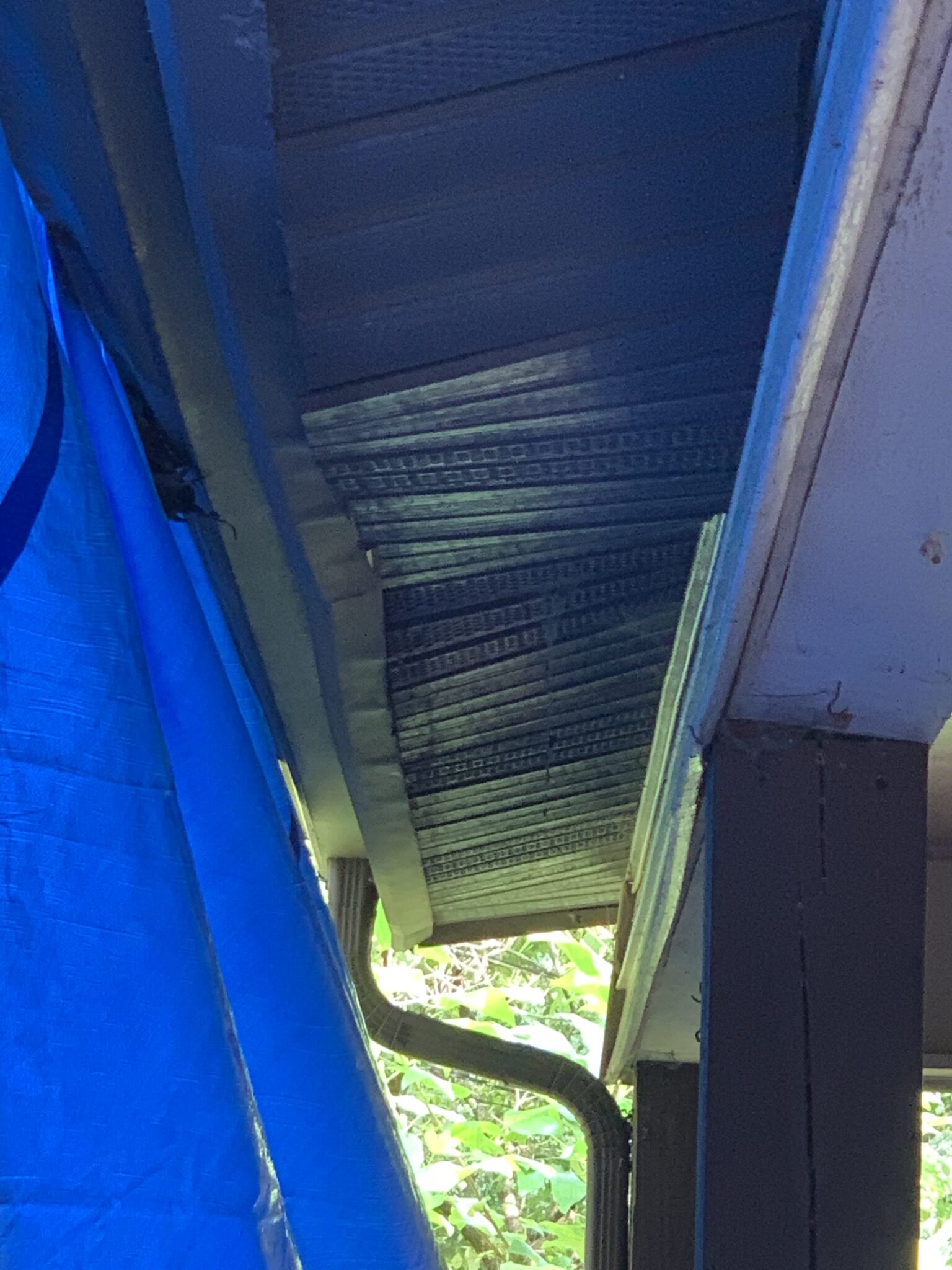 Tree fell on home and damaged roof soffit fascia and gutters