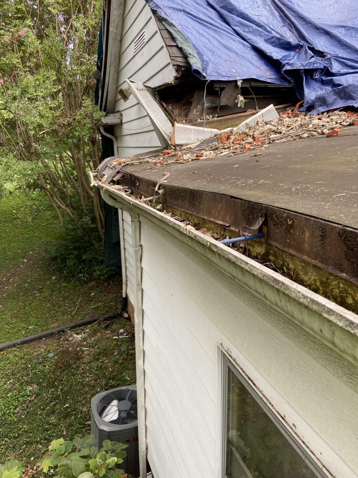 what-to-do-when-a-tree-falls-on-your-roof