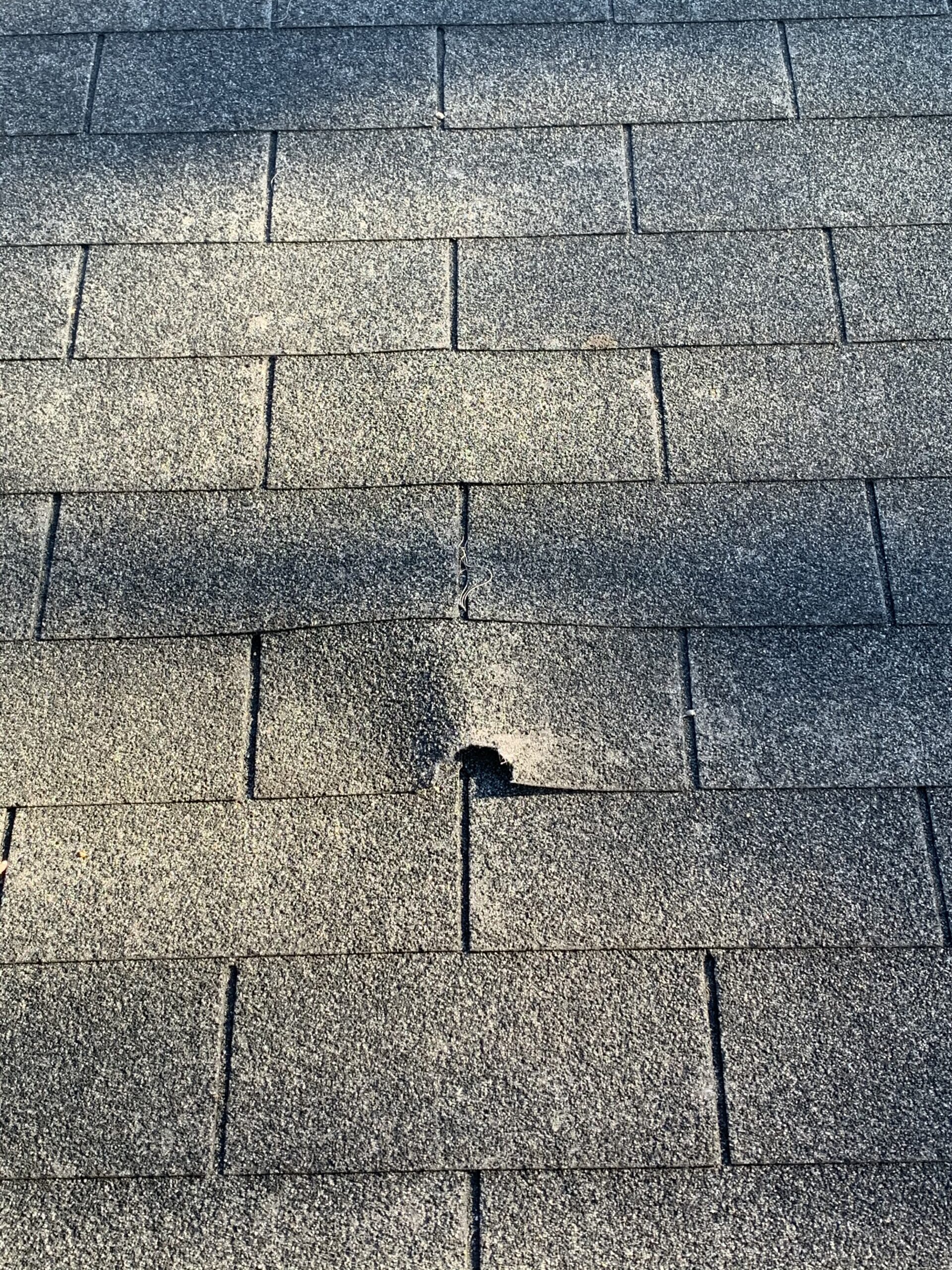 Damaged shingles on residential roof