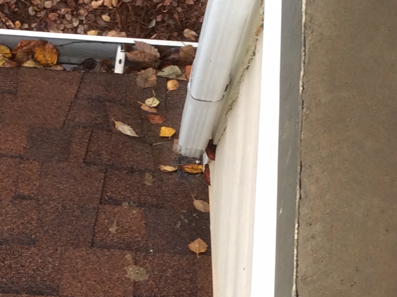 Rotten wood that needs to be replaced where the downspout comes out
