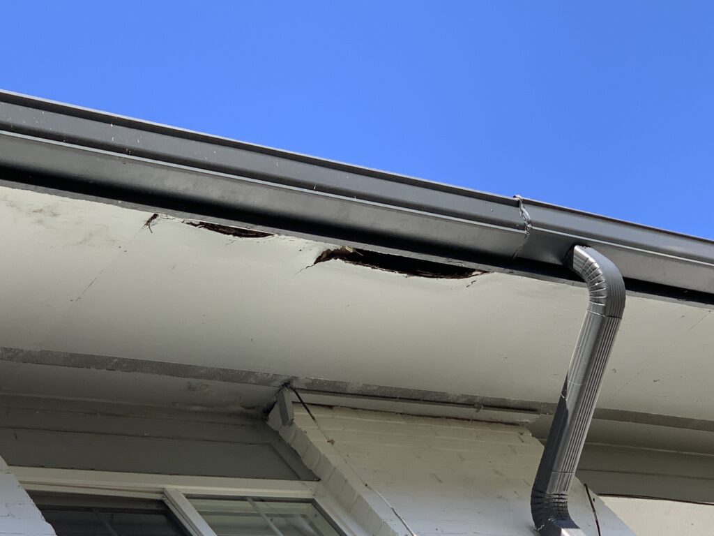 The soffit is rotting and there are visible holes caused by rot from roof leaks and gutter leaks