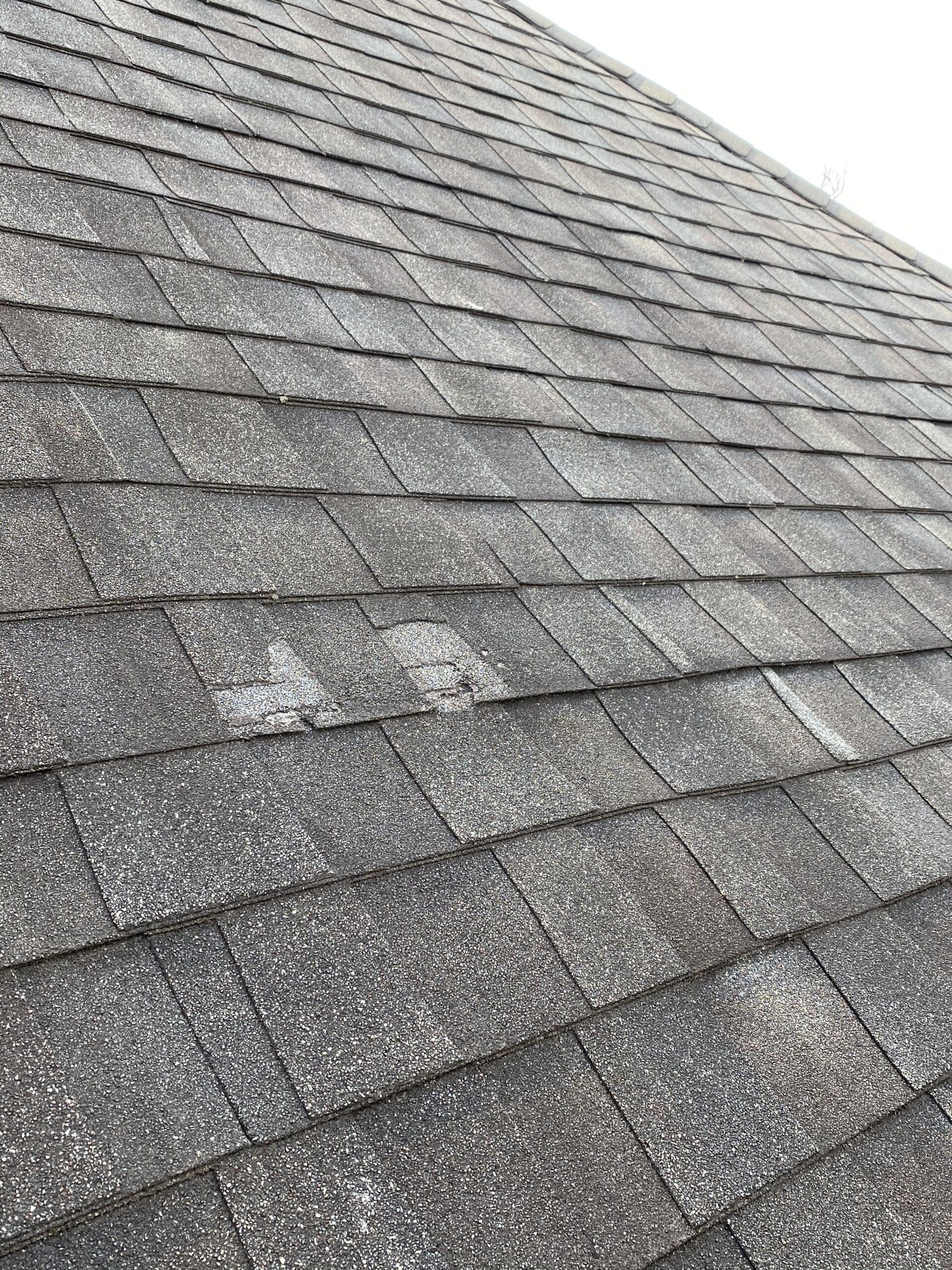 This is a picture of a dark brown shingle that is damaged