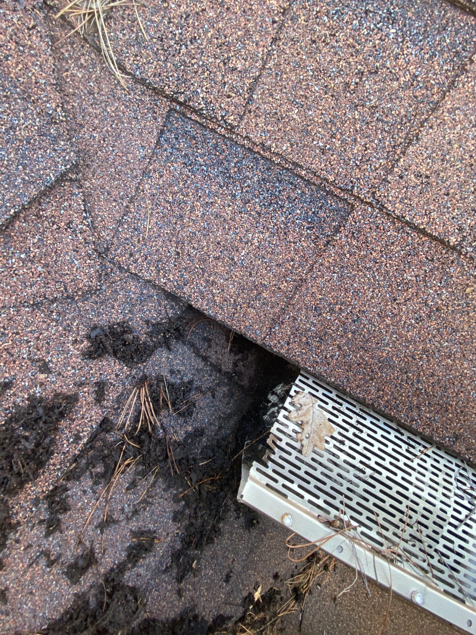 This is a picture of an almond color gutter that is butting up against the roof.