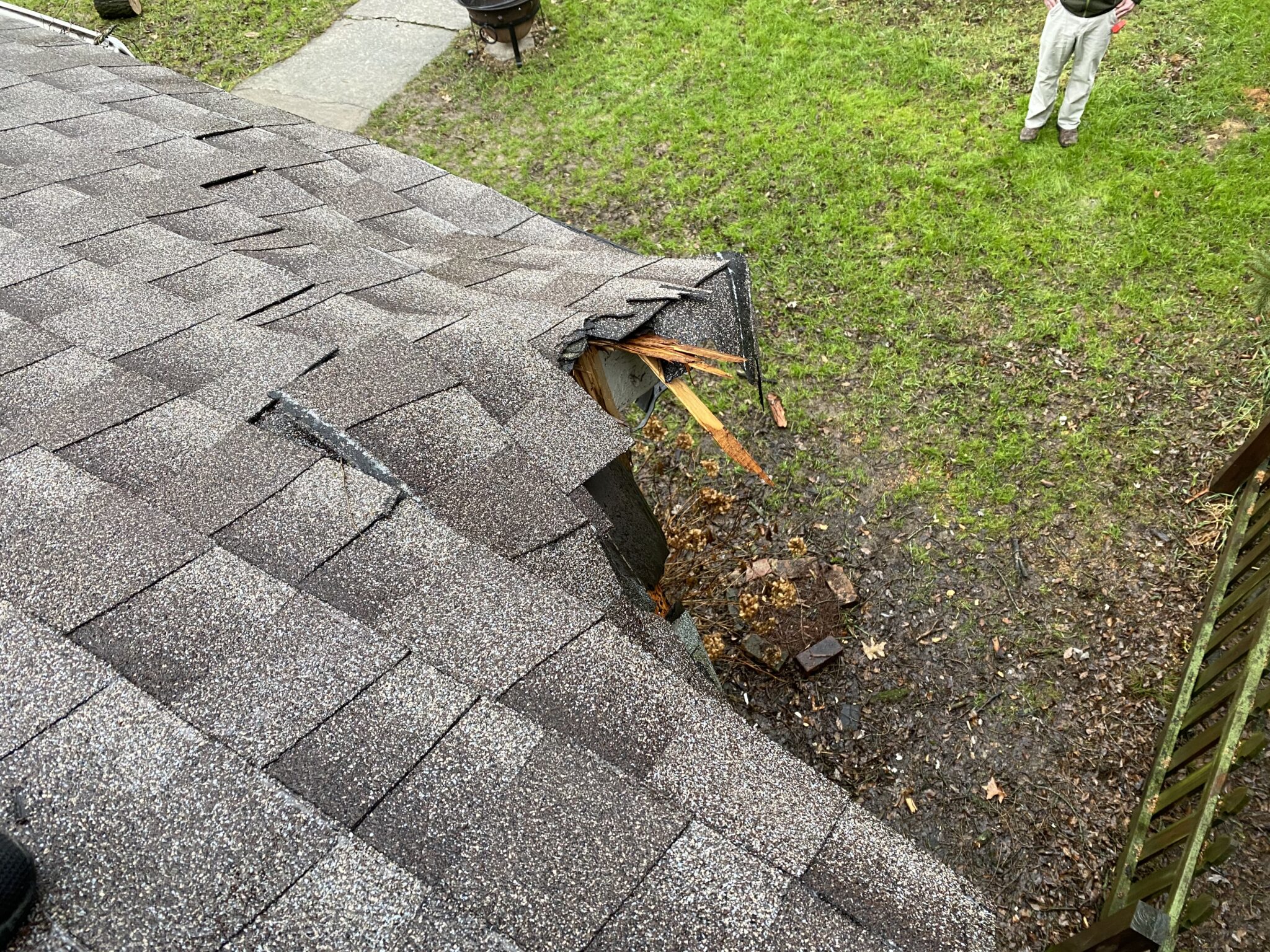 Knoxville Roofing Company Inspects Roof With Tree Damage