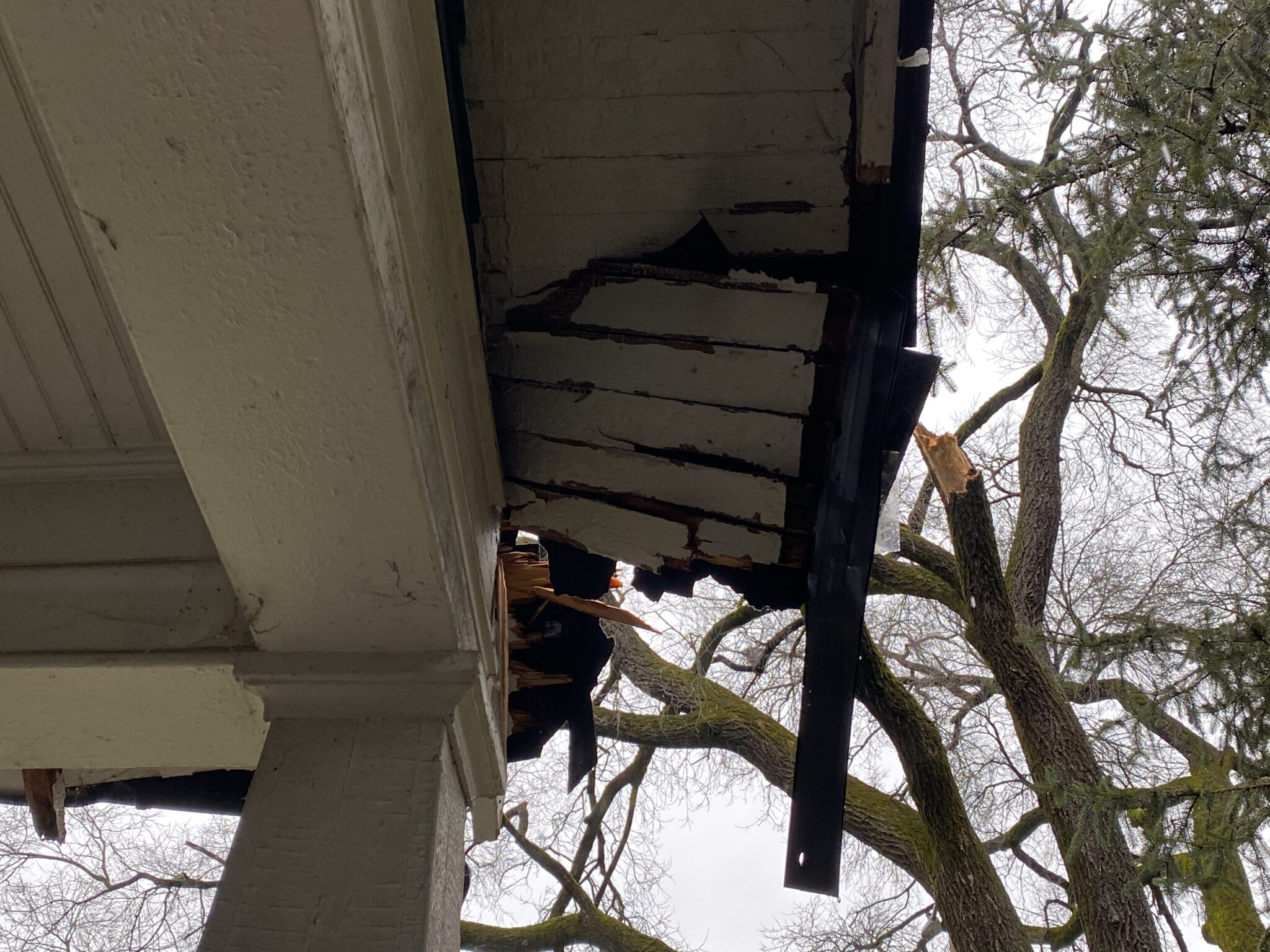 Knoxville Roofing Company Inspects Roof With Tree Damage
