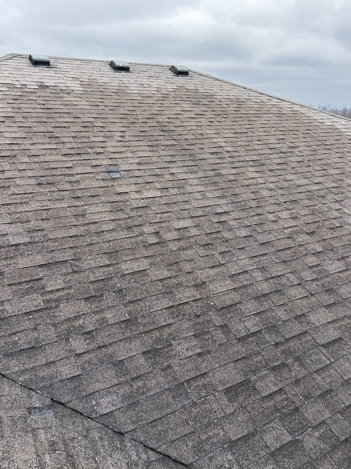 Wind damage shingles on the west side of the roof Litespeed Construction Knoxville