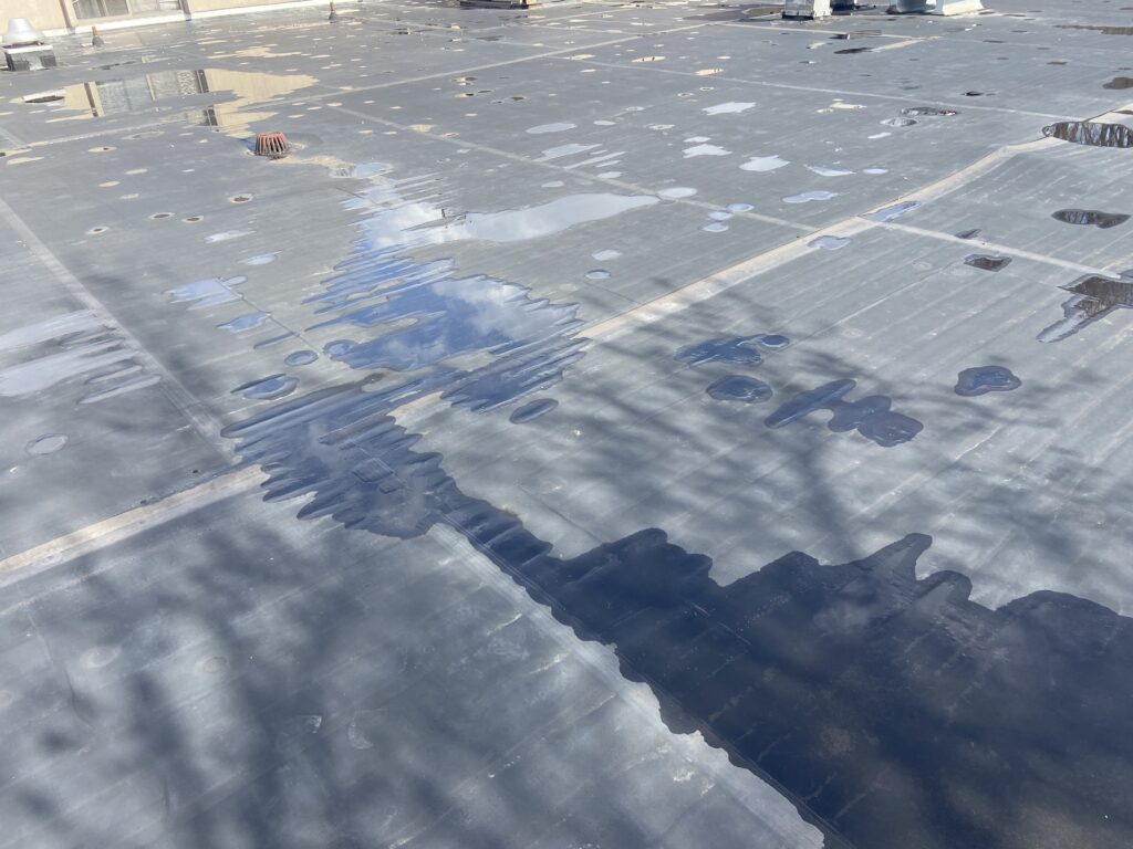 Flat roof picture with standing water