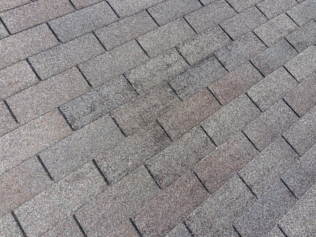 This is a picture of a gray shingle that is beginning to wear out