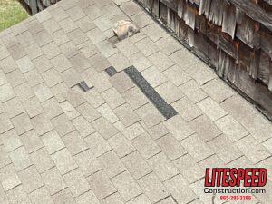 Building Roof Inspection with Wind Damaged Shingles