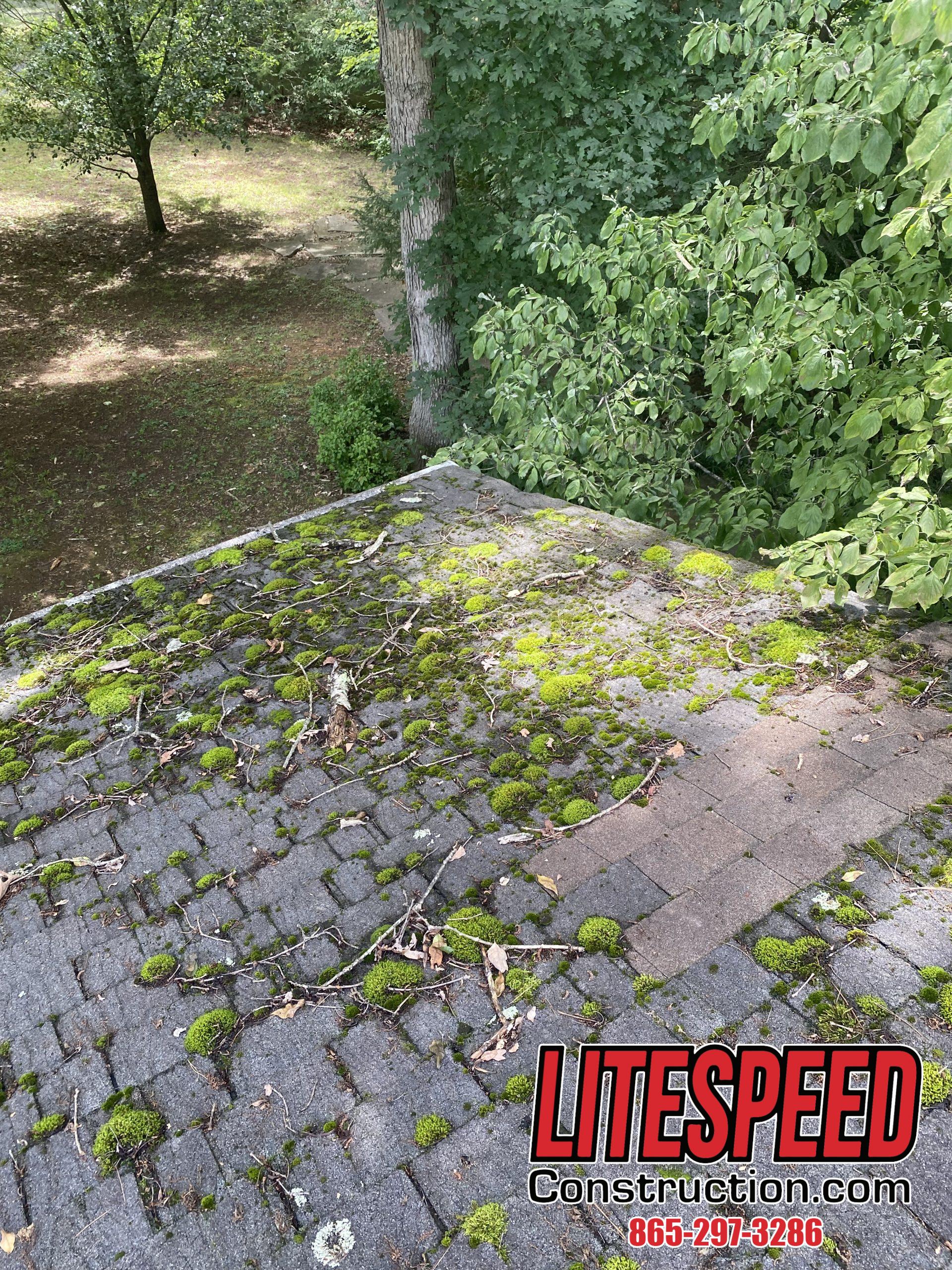This is a picture of a shingle roof with lots of moss growth and stains.