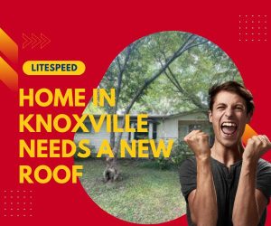 home in Knoxville needs a new roof, new roof installation Knoxville TN, roofing contractor Knoxville TN, residential roof replacement Knoxville, roof repair Knoxville TN, affordable roof replacement Knoxville TN, roof inspection Knoxville TN, professional roof services Knoxville, roof upgrade Knoxville TN, new shingles for home Knoxville, damaged roof repair Knoxville TN, home improvement roofing Knoxville