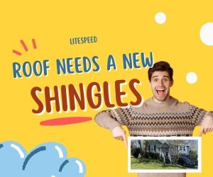 Knoxville roofers inspect roof, roof inspection for new shingles Knoxville, new shingle installation Knoxville TN, roof replacement Knoxville TN, roofing contractor Knoxville TN, professional roof inspection Knoxville, damaged shingle repair Knoxville, affordable roof shingles Knoxville TN, residential roof replacement Knoxville, roof maintenance Knoxville TN, roof repair services Knoxville TN, asphalt shingle roof Knoxville