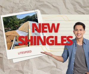 Tazewell roofs need new shingles, shingle roof replacement Tazewell, roofing contractor Tazewell TN, residential roof replacement Tazewell, professional shingle installation Tazewell, affordable roof shingles Tazewell, roof inspection Tazewell TN, damaged shingle repair Tazewell, new shingle roof installation Tazewell, roof maintenance Tazewell TN, asphalt shingle replacement Tazewell, roof repair services Tazewell TN