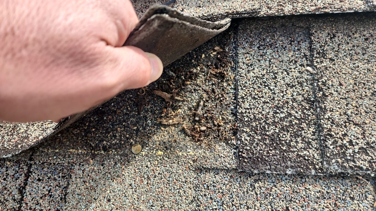 Exposed nail bed underneath detached shingle