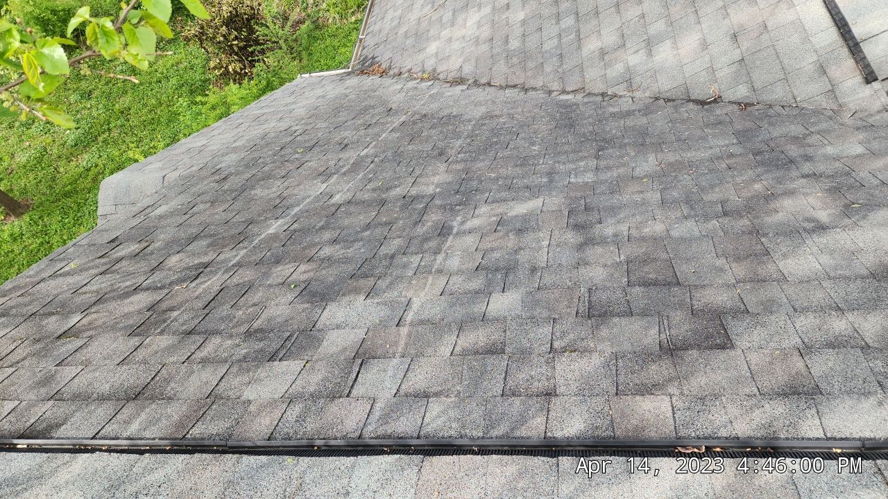 Discoloration on shingles
