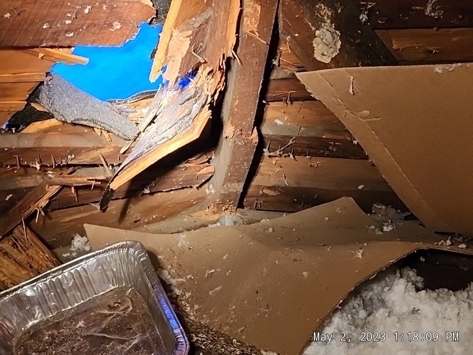 Hole in roof in attic