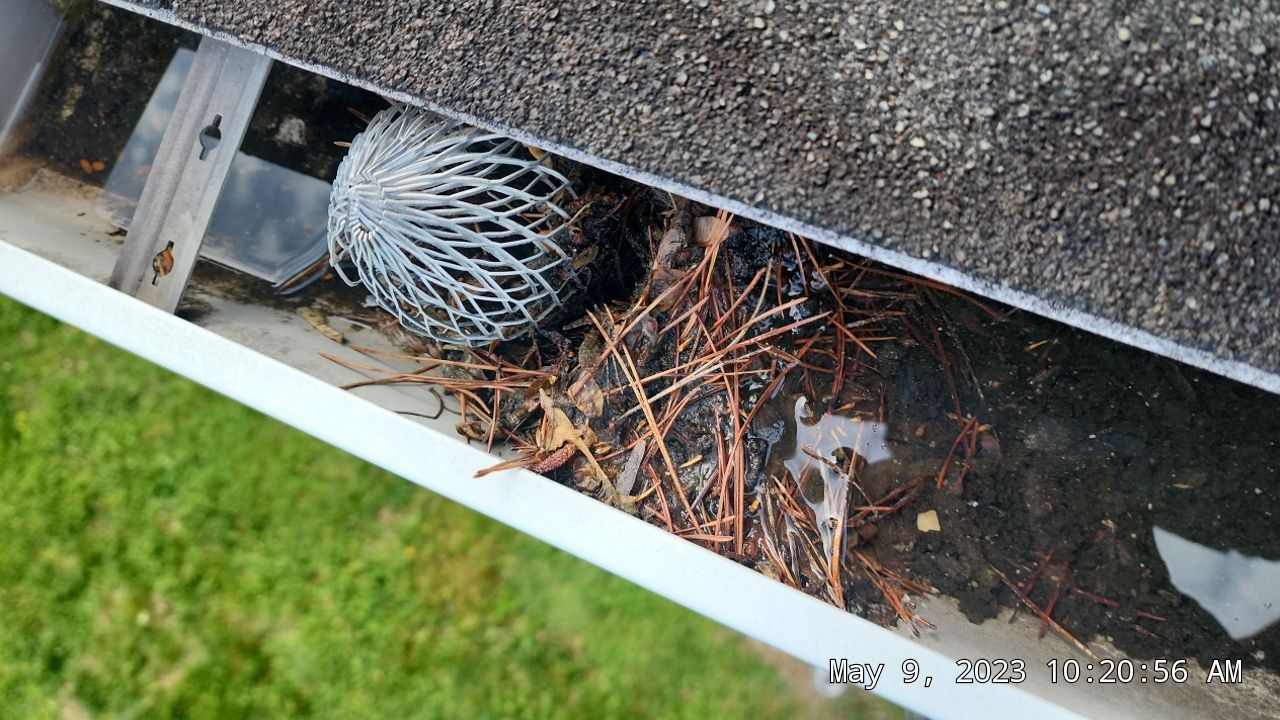 Clogged, water logged gutters