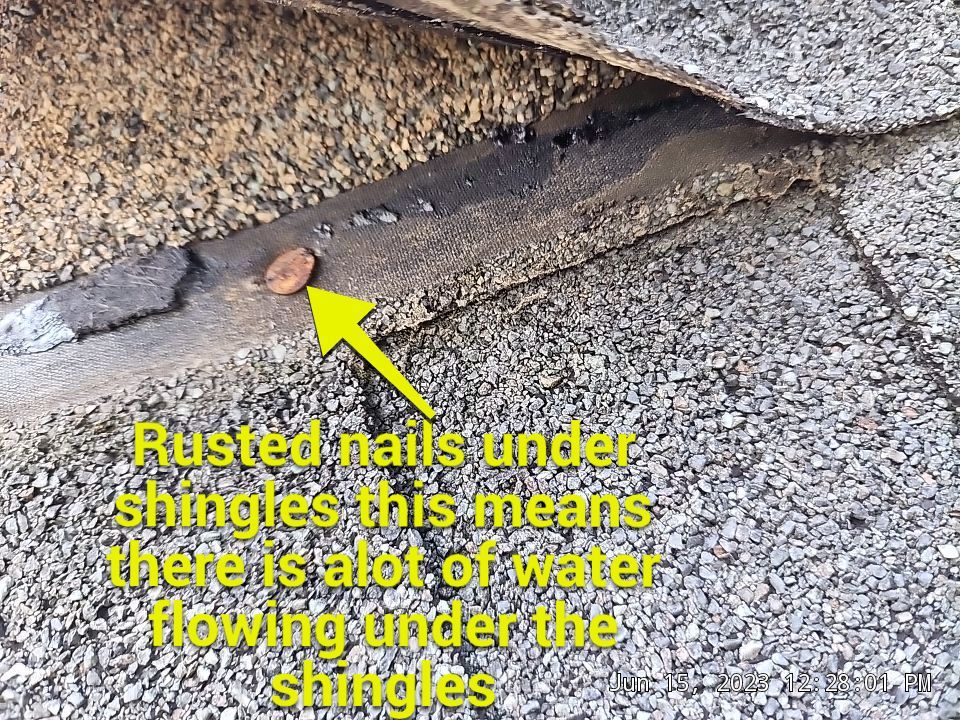 Rusted nail head indicating prolonged water exposure