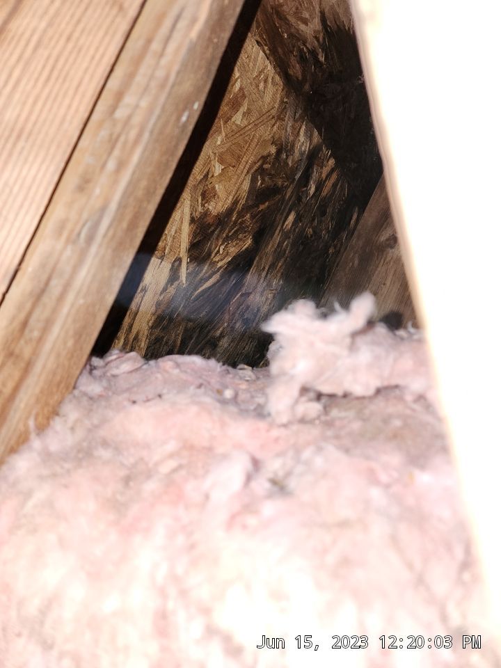 Rotten boards from water in attic space