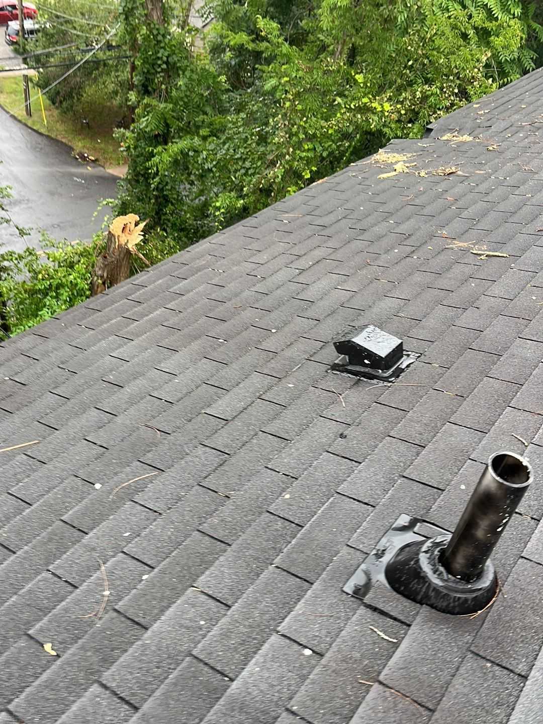 Tree damage, hole in roof, and missing shingles.