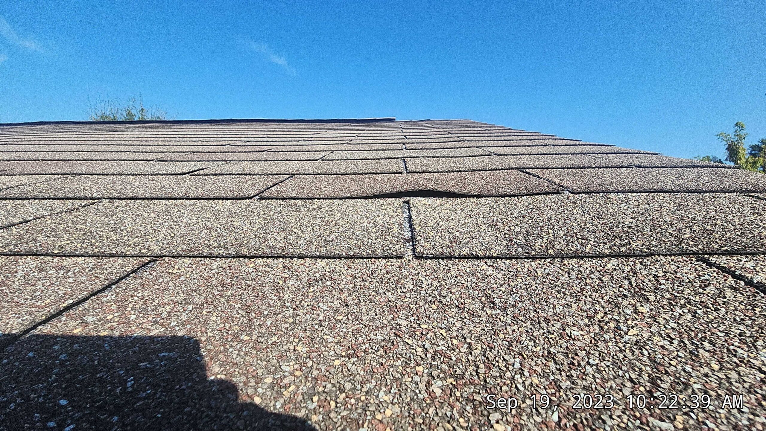 Lifted, wind damage to shingles