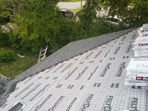 New shingle roof
