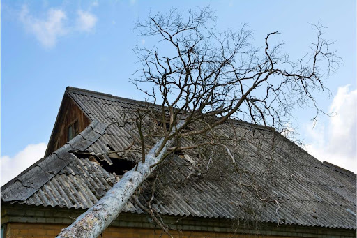 tree damage, falling branches on roof, storm damage restoration needed