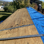 Knoxville TN mold removal, Roof mold inspection, Professional mold remediation, Roofing repair mold damage, Mold prevention roofing, Cost of mold removal on roof, Health risks of roof mold, Moldy plywood replacement, Signs of mold on roof, Roof leak mold growth, Roofing services Knoxville, Mold cleaning agents for plywood, Mold-resistant roofing materials