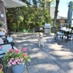 can you build a roof over an existing porch, porch roof addition, adding roof to existing porch, build roof over deck, porch roof construction, patio roof installation, covered porch ideas, DIY porch roof, roof over porch cost, how to add roof to porch, porch roof framing, roof extension over porch, porch cover construction, roof addition permit, structural support for porch roof