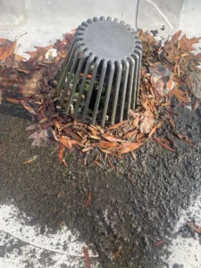 commercial gutter cleaning knoxville, commercial gutter cleaning near me, commercial roof gutter cleaning, knoxville commercial roofing, flat roof gutter cleaning, commercial roof drainage, commercial gutter maintenance tn, commercial roof leak prevention, downspout cleaning commercial, roof gutter cleaning knoxville tn, commercial roofing contractor knoxville, storm damage gutter cleaning, commercial roof maintenance, clogged commercial gutters, gutter cleaning for warehouses