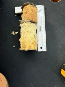 commercial roof leak repair Knoxville, EPDM membrane roof repair, TPO roof over EPDM, flat roof skylight repair Knoxville, commercial skylight leak repair, commercial scupper drain repair, wet insulation commercial roof, ISO insulation board replacement, commercial roof core samples, membrane roof cracks repair, commercial roof water intrusion, low slope roofing Knoxville TN