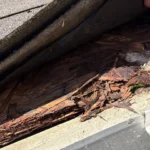 roof estimate online, online roof estimate, roof replacement cost calculator, instant roof estimate, roof quote online, roof replacement estimate, new roof cost calculator, roof cost estimator, asphalt shingle roof estimate, roof inspection Knoxville TN, Knoxville roof estimate, roof replacement cost Knoxville TN, roof financing estimate, roof damage estimate, roof measurement online,