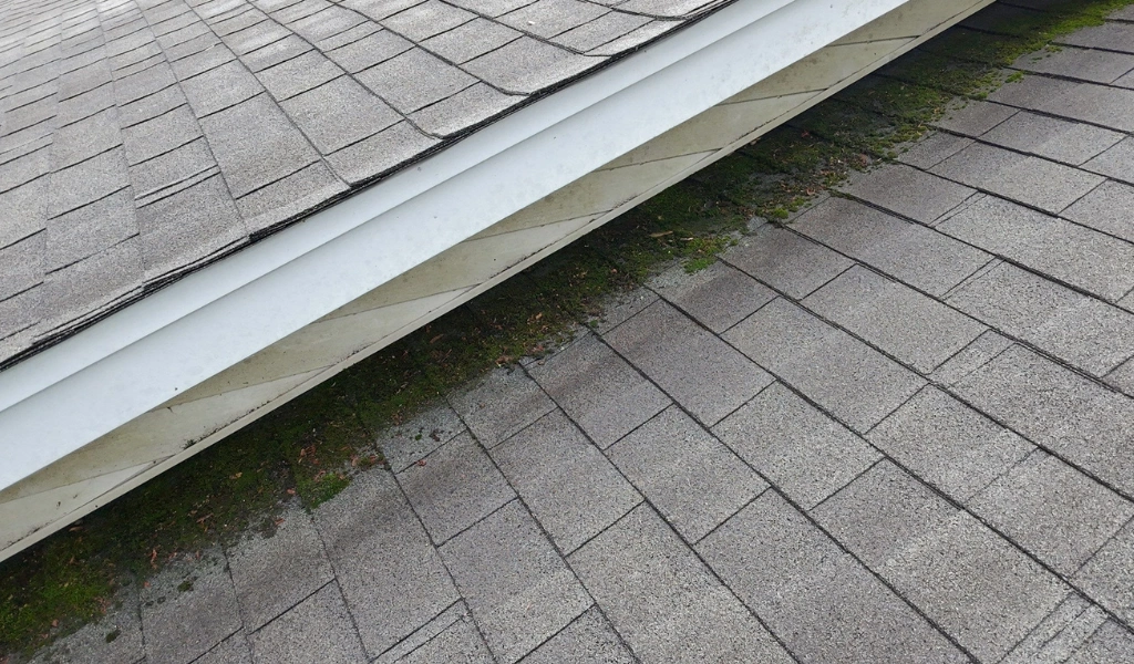 roof replacement Knoxville TN 37919, roof replacement Knoxville TN, residential roof replacement Knoxville TN, Knoxville roofing contractor, shingle roof replacement Knoxville TN, GAF Timberline HDZ Knoxville TN, Pewter Gray GAF shingles, residential roofing Knoxville 37919, chimney leak repair Knoxville TN, chimney flashing replacement Knoxville TN, roof flashing repair Knoxville TN, leaking pipe boot Knoxville TN, pipe boot replacement Knoxville TN, roof penetration repair Knoxville TN, leaking roof around chimney, asphalt shingle roof replacement, roof decking repair Knoxville TN, ridge vent installation Knoxville TN, low slope patio roof leak repair, roof underlayment Knoxville TN, roof inspection Knoxville 37919, recurring roof leak repair Knoxville