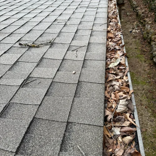 clogged-gutters-2